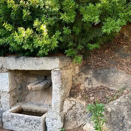 Villa Villa De Caractere Avec Piscine Et Jardin Privatifs *