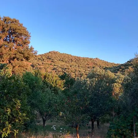 Villa De Caractere Avec Piscine Et Jardin Privatifs